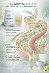 Intestra™ | Daily Fiber Complex for Digestive Balance & Support