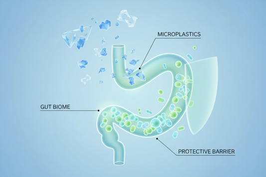 Microplastics and the Microbiome: What You Need to Know to Protect Your Gut
