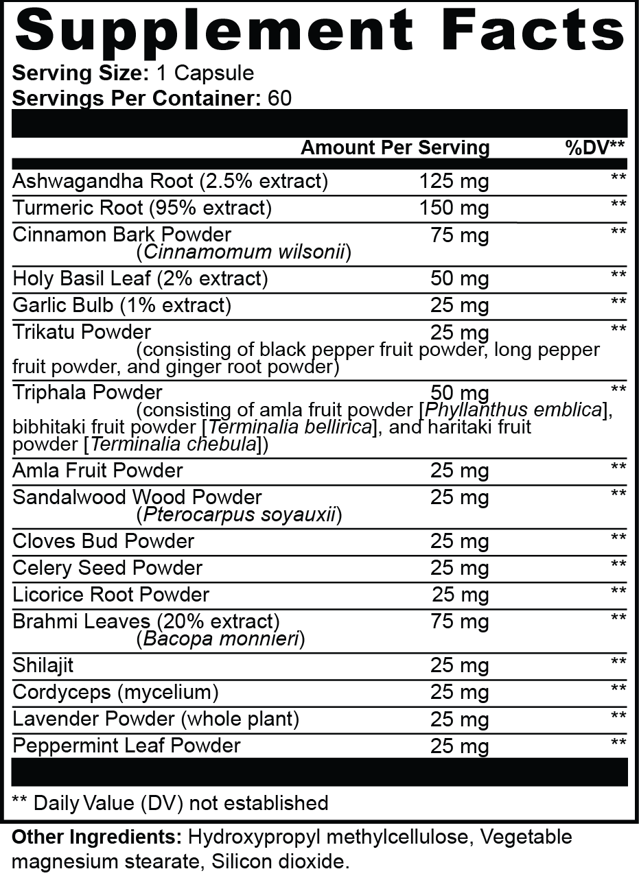 VYVD Balance: Ayurvedic Wellness Blend